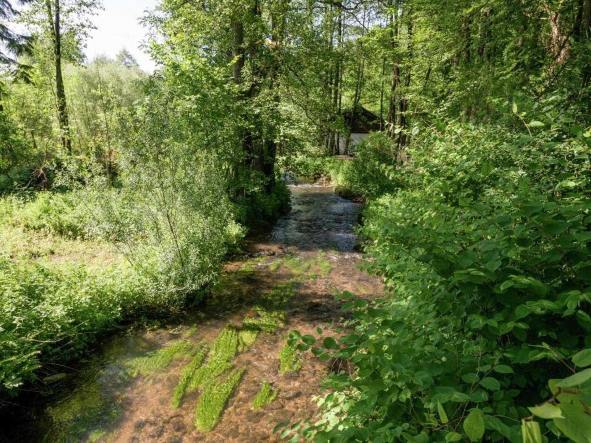 Charming Holiday Home In Malmedy With Sauna Buitenkant foto